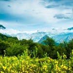 picos de europa